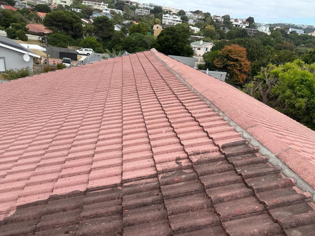 Roof Cleaning by The Roof Doctor